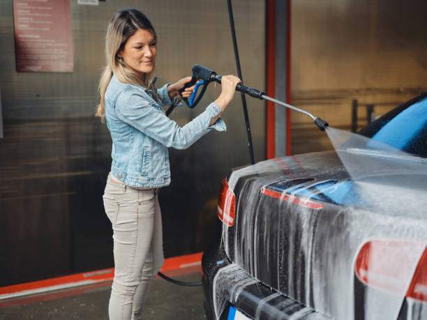 Best Roof Pressure Washing  in Red Lake Falls, MN