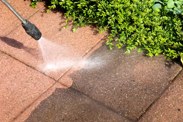 Best Deck Cleaning Services  in Red Lake Falls, MN